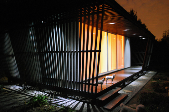 Dojo Dojo