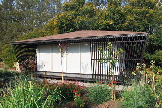 Dojo Dojo